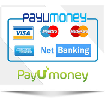 Holiday Packages for shimla manali kullu, Indian Tour Travel Companies, Domestic Tour Packages agencies in India, Punjab Ludhiana